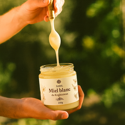 Miel blanc du Kirghizistan